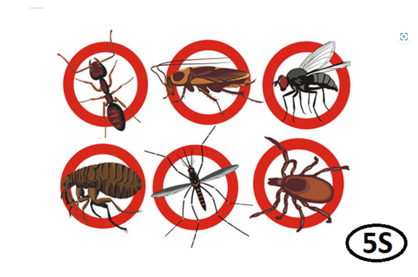 diệt côn trùng nghệ an