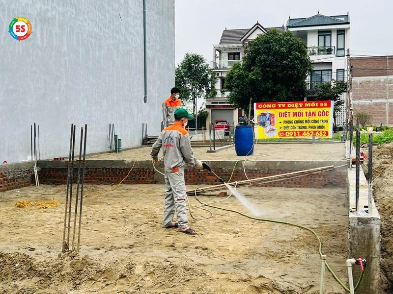 Dịch vụ diệt mối tại Hà Tĩnh