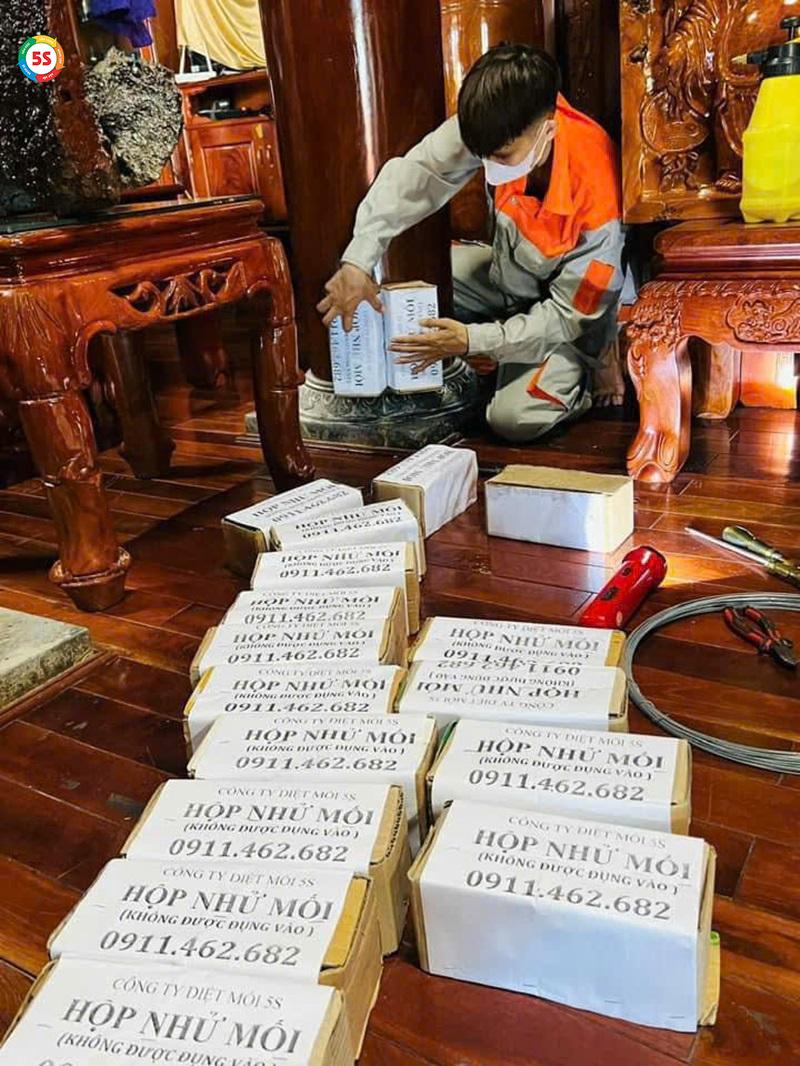 Dịch vụ diệt mối tại Hà Tĩnh