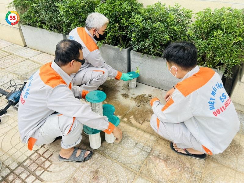 dịch vụ diệt mối tại Hà Tĩnh