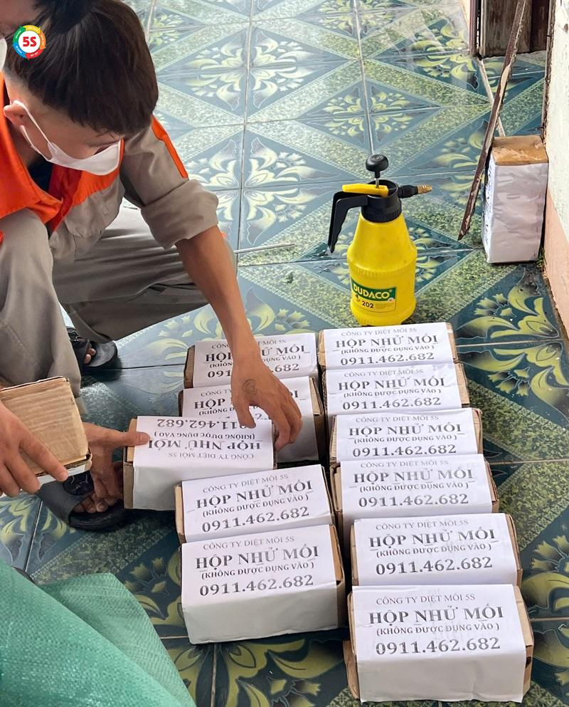 Dịch vụ diệt mối tại Hà Tĩnh