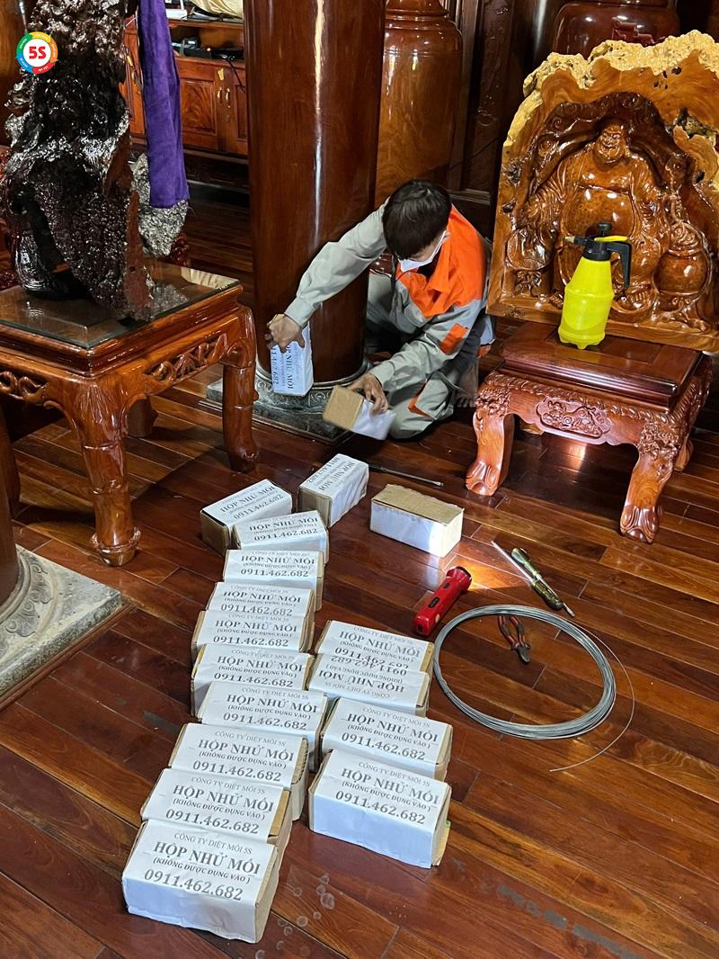 Dịch vụ diệt mối tại Hà Tĩnh