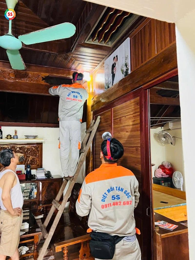 Dịch vụ diệt mối tại Hà Tĩnh