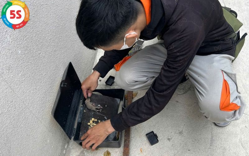 dịch vụ diệt chuortj tại nghệ An