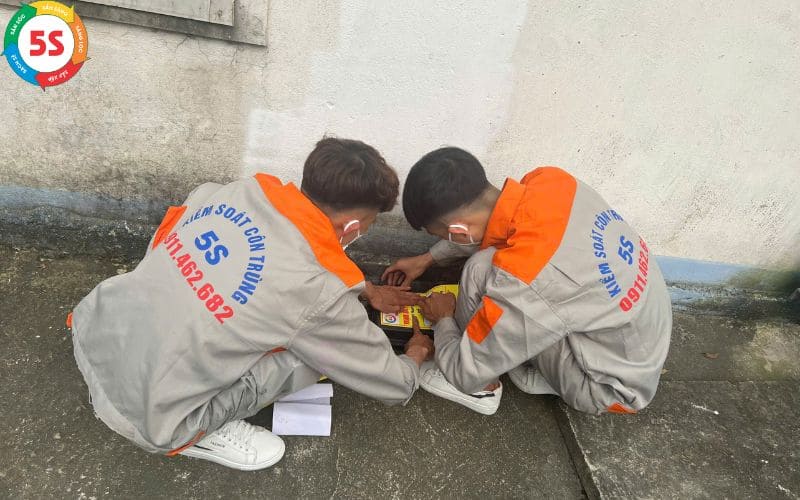 Dịch vụ diệt chuột tại Nghệ An