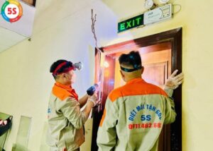 Dịch vụ diệt mối tại Nghệ An