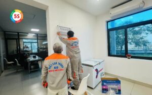 các loại côn trùng có cánh
