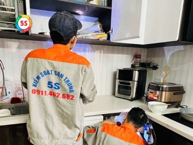 Cách đuổi gián trong bếp
