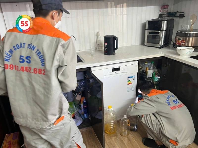 Cách đuổi gián trong bếp