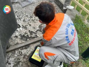 cách trị kiến ba khoang