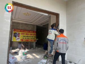 Dịch vụ diệt mối tại Hưng Nguyên