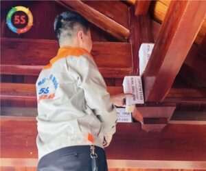 Dịch vụ diệt mối tại Nghi Lộc