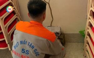Dịch vụ diệt mối tại phường cửa nam