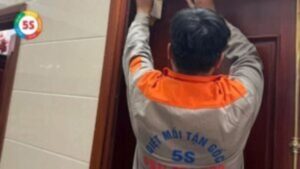 Dịch vụ diệt mối tại phường Hồng Sơn