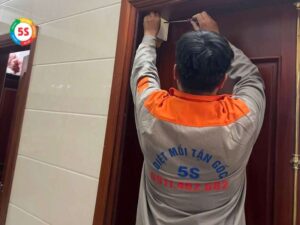 dịch vụ diệt mối tại phường Hưng Bình
