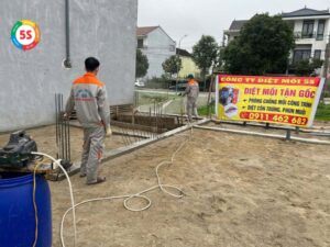dịch vụ diệt mối tại phường hưng dũng