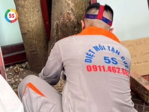 dịch vụ diệt mối tại phường hưng phúc