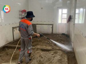 Dịch vụ diệt mối tại phường Lê Lợi