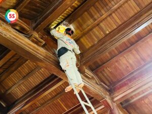 Dịch Vụ Diệt Mối Tại Phường Quán Bàu
