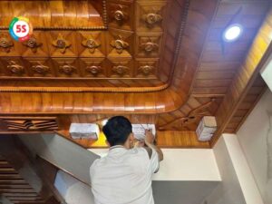 Dịch vụ diệt mối tại Phường Trường Thi