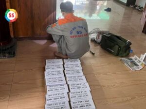 Dịch vụ diệt mối tại phường Vinh Tân
