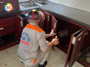 Dịch vụ diệt mối tại Quỳ Châu