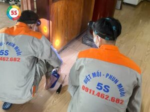 Dịch vụ diệt mối tại Quỳ Hợp