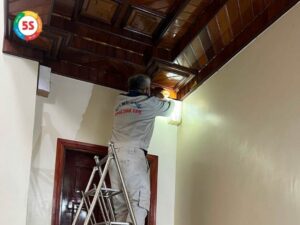 dịch vụ diệt mối tại Tân Kỳ