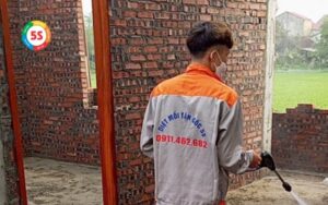 Dịch vụ diệt mối tương dương