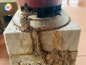 Mối sợ gì nhất