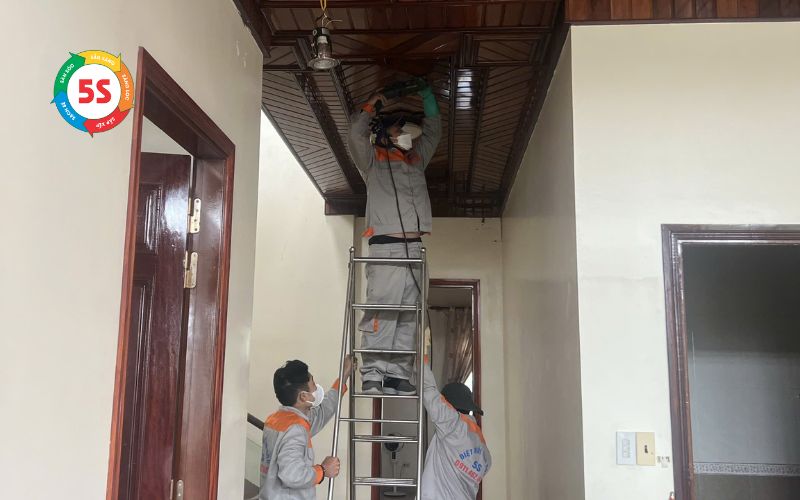 Chống mối cho nhà mới xây