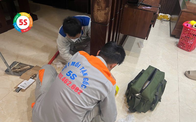 Chống mối cho nhà mới xây