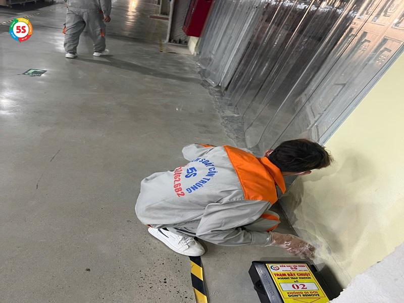 chuột chù vào nhà tốt hay xấu