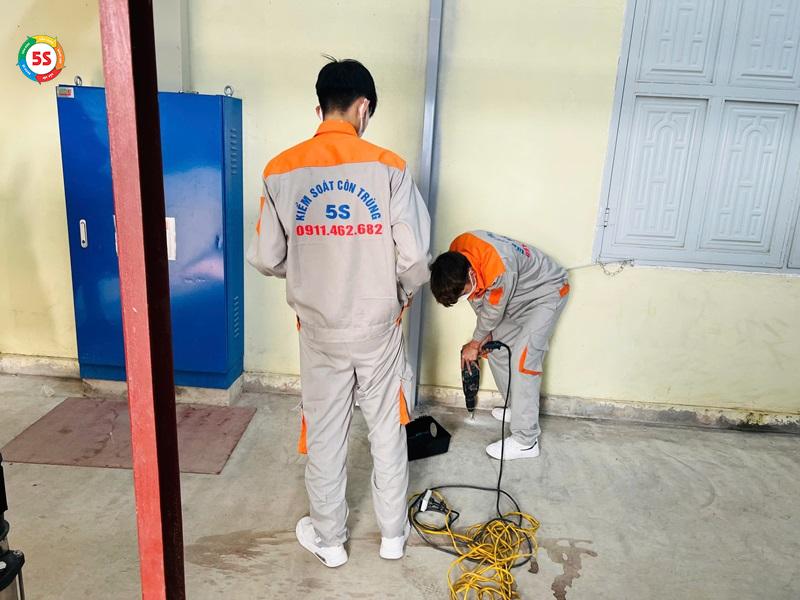 chuột ú