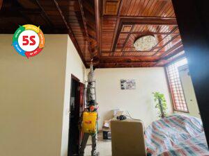 con mối sợ gì nhất