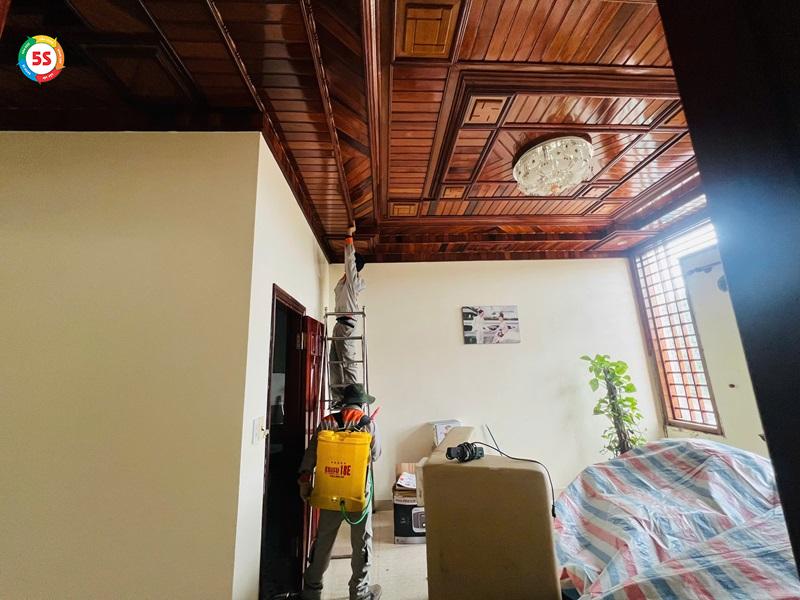 con mối sợ gì nhất