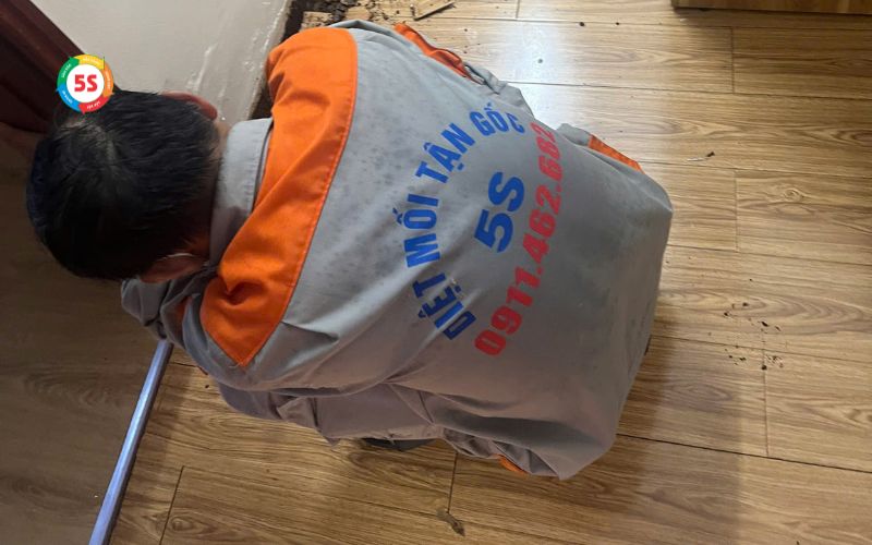 Diệt mối khu công nghiệp Hoàng Mai Nghệ An