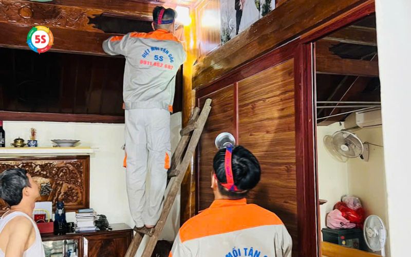 Diệt mối khu công nghiệp Hoàng Mai Nghệ An