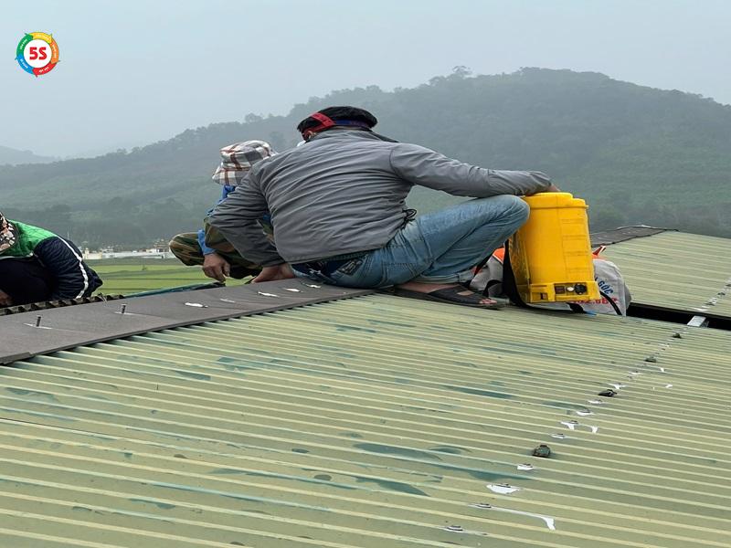thuốc diệt mối có độc không
