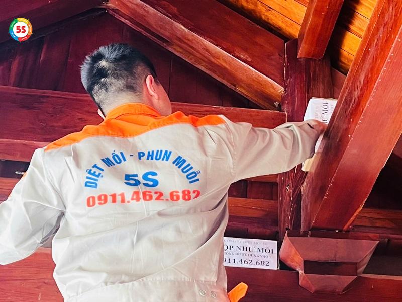 Thuốc trị mọt gỗ là gì?