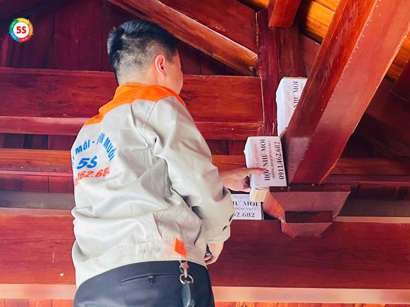 Thuốc trị mọt gỗ là gì?
