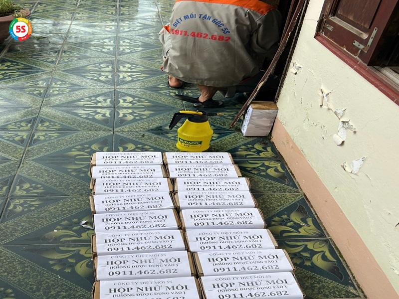 Thuốc trị mọt gỗ là gì?