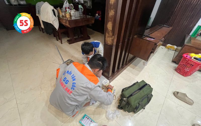 Tổ mối trong nhà