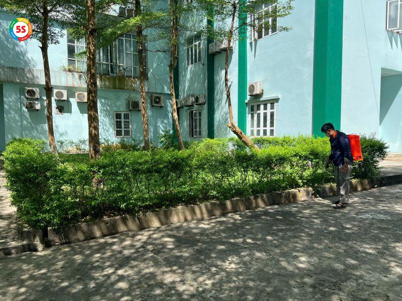 con kiến lửa