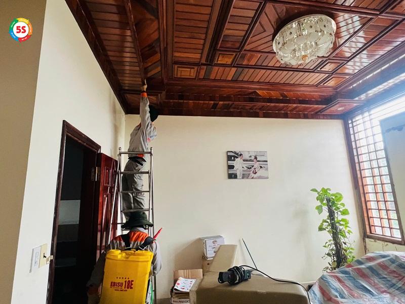 Dịch vụ diệt mối tại Đức Thọ