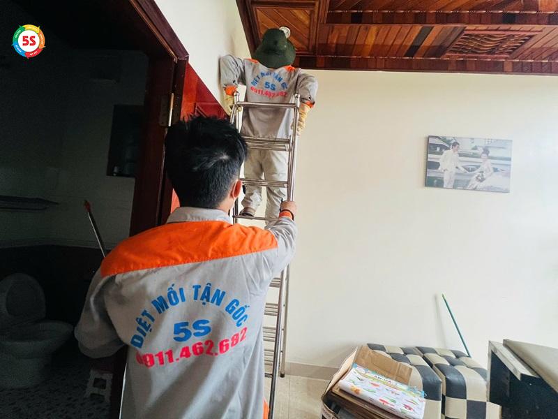 dịch vụ diệt mối tại Hương Khê