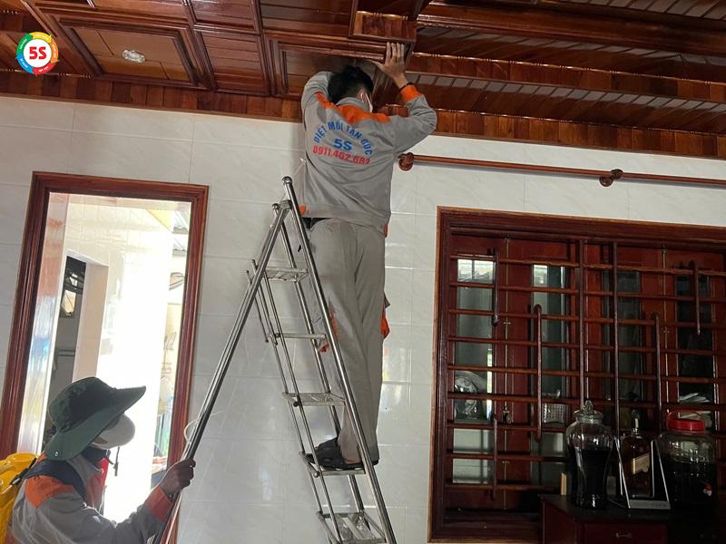 dịch vụ diệt mối tại Hương Khê