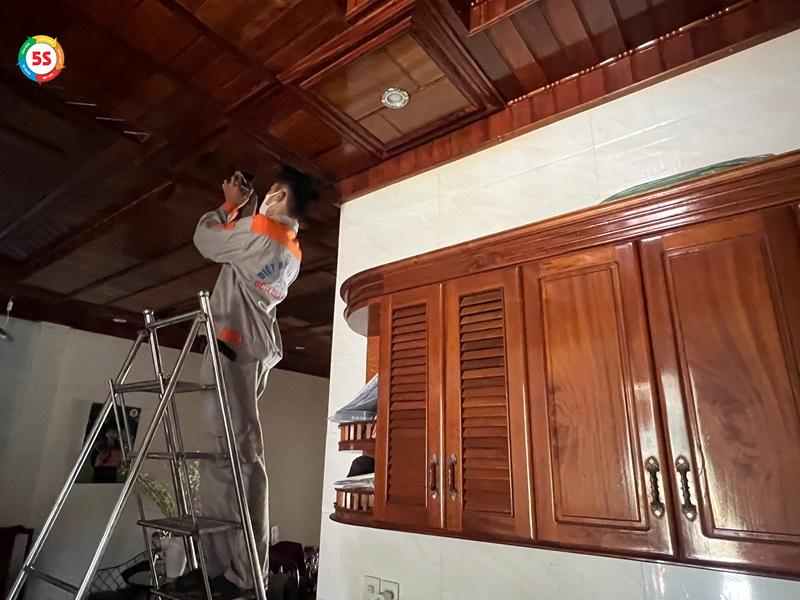 dịch vụ diệt mối tại huyện Hương Sơn
