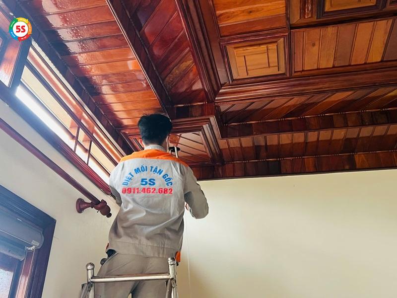 dịch vụ diệt mối tại huyện Hương Sơn