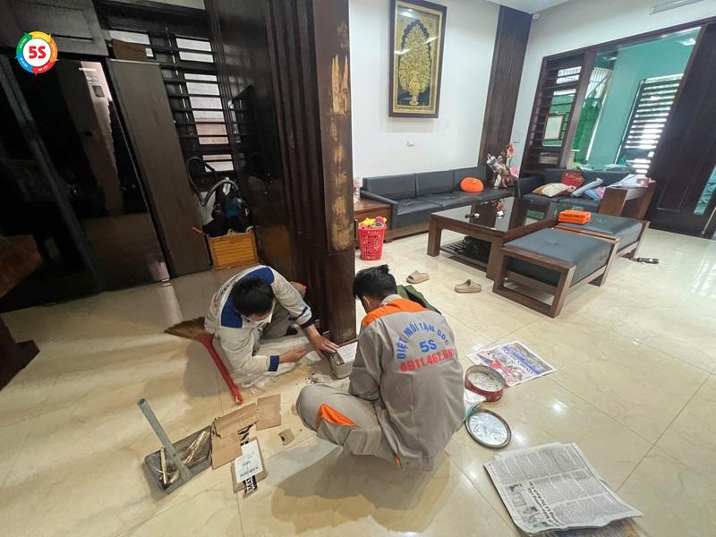 dịch vụ diệt mối tại huyện lộc hà